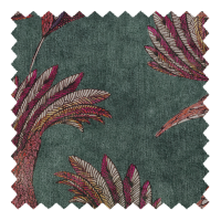 Paradise Bird Sage