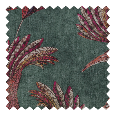 Paradise Bird Sage